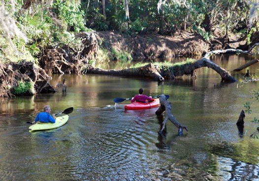 Turkey Creek Sanctuary Society